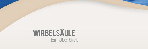 Wirbelsäule